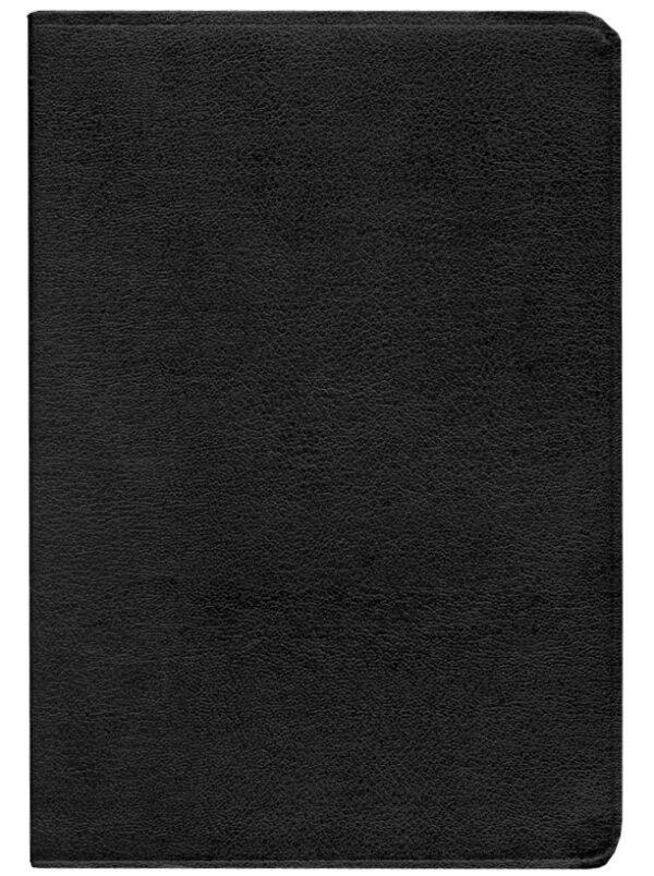 KJV Life in the Spirit Study Bible, Top Grain Leather, Black (Previously titled The Full Life Study Bible) - Image 2