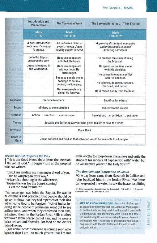 Tyndale NLT The Swindoll Study Bible (LeatherLike, Black) - Image 7