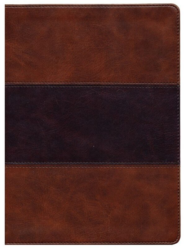 KJV Study Bible, Full-Color--soft leather-look, saddle brown - Image 2