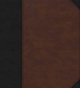 KJV Super Giant-Print Reference Bible--soft leather-look, black/brown