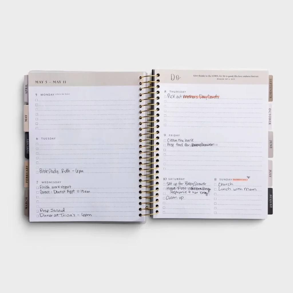 Dream Plan Do - 2024-2025 18-Month Inspirational Agenda Planner (July 2024 - December 2025)