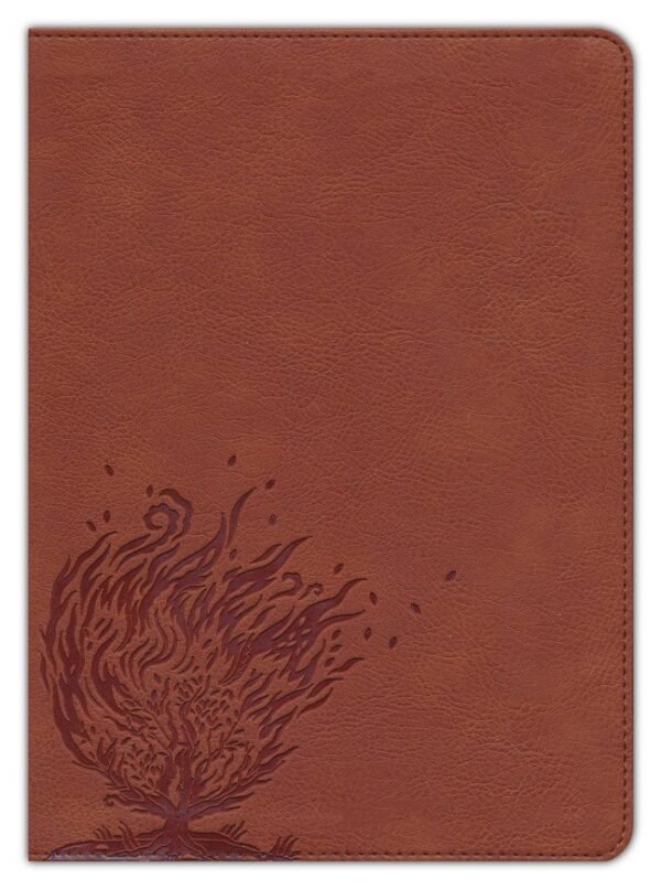 CSB Experiencing God Bible--LeatherTouch, burnt sienna - Image 2