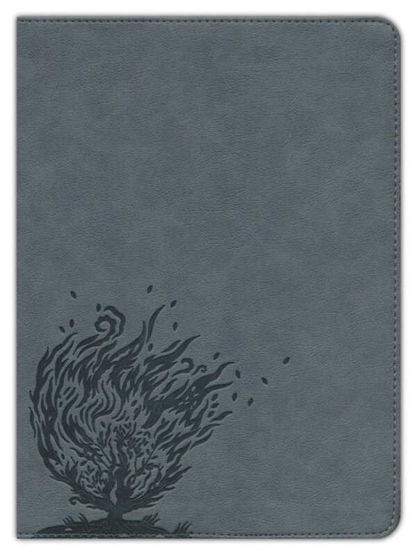 CSB Experiencing God Bible--LeatherTouch, charcoal - Image 2