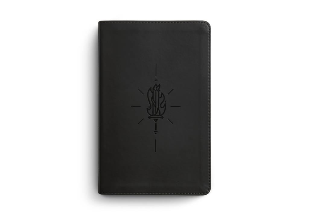 ESV Kid's Bible, Thinline (TruTone, Sword of the Spirit) Imitation Leather
